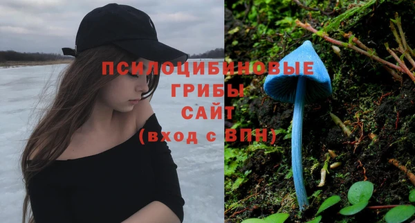 амф Семикаракорск