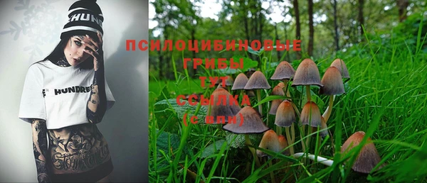 стаф Балахна